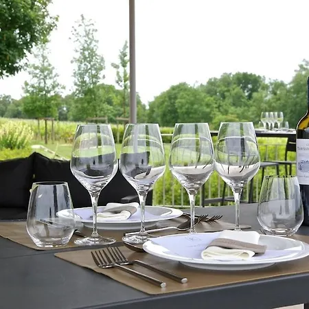 Luxury Chateau 2 & Vineyard View Daire *