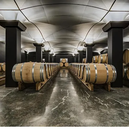 Luxury Chateau 2 & Vineyard View شقة Saint-Christophe-des-Bardes